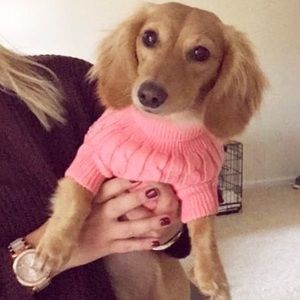 🎀 Pink Puppy Bundle Alert! 🎀